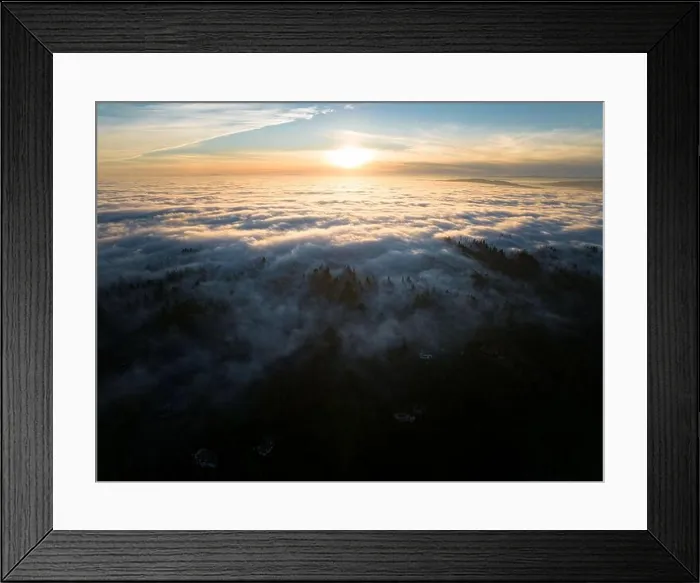 Framed Print : As dusk begins to fall, dense fog rolls over a forest of cedar and fir trees covering the many hills surrounding Portland, Oregon Framed Print : As dusk begins to fall, dense fog rolls over a forest of cedar and fir trees covering the many hills surrounding Portland, Oregon