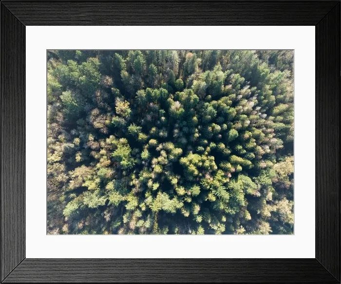 Framed Print : An aerial view shows a healthy forest near Mount Hood, Oregon. Forests cover large swaths of land throughout the Pacific Northwest in the U.S Framed Print : An aerial view shows a healthy forest near Mount Hood, Oregon. Forests cover large swaths of land throughout the Pacific Northwest in the U.S