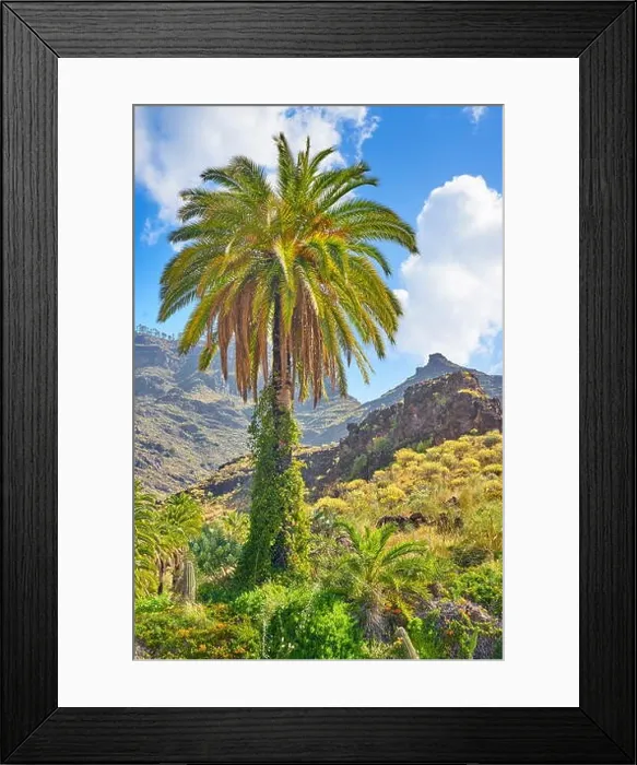 Framed Print : Canarian landscape with lonely palm tree, Gran Canaria, Canary Islands, Spain Framed Print : Canarian landscape with lonely palm tree, Gran Canaria, Canary Islands, Spain