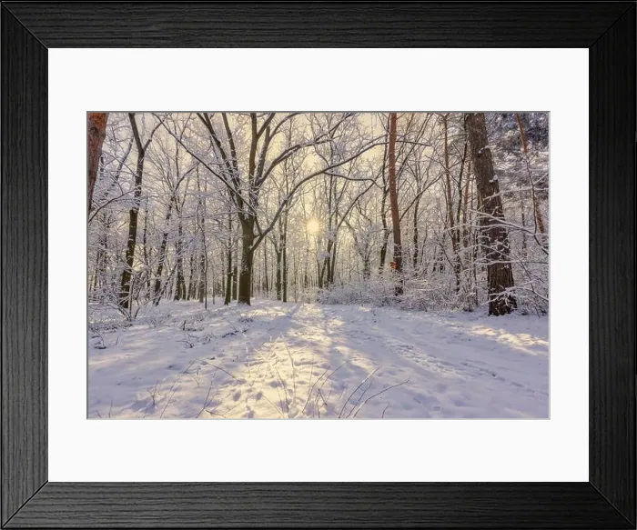 Framed Print : winter nature landscape at sunrise. Beautiful Christmas nature background, frozen snowy forest trail, amazing idyllic nature landscape. Tranquil path Framed Print : winter nature landscape at sunrise. Beautiful Christmas nature background, frozen snowy forest trail, amazing idyllic nature landscape. Tranquil path