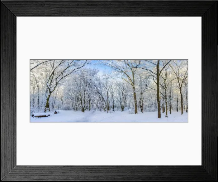 Framed Print : Oak trees covered with snow on frosty morning landscape. Amazing winter nature panorama. Bright colorful sunrise over wintry park, fantastic scenic Framed Print : Oak trees covered with snow on frosty morning landscape. Amazing winter nature panorama. Bright colorful sunrise over wintry park, fantastic scenic