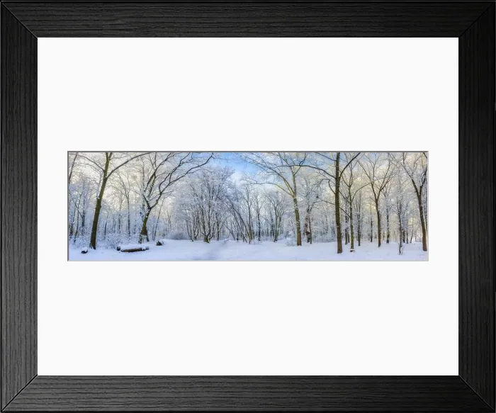 Framed Print : Oak trees covered with snow on frosty morning landscape. Amazing winter nature panorama. Bright colorful sunrise over wintry park, fantastic scenic Framed Print : Oak trees covered with snow on frosty morning landscape. Amazing winter nature panorama. Bright colorful sunrise over wintry park, fantastic scenic