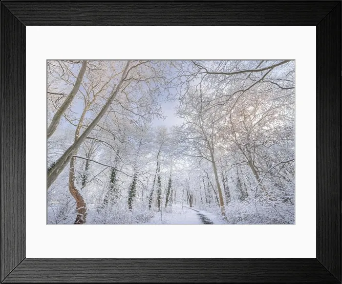 Framed Print : winter nature landscape at sunrise. Beautiful Christmas nature background, frozen snowy forest trail, amazing idyllic nature landscape. Tranquil path Framed Print : winter nature landscape at sunrise. Beautiful Christmas nature background, frozen snowy forest trail, amazing idyllic nature landscape. Tranquil path