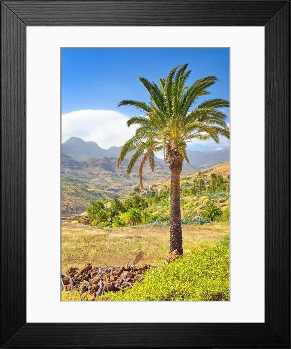 Framed Print : Canarian landscape with palm tree, Gran Canaria, Spain Framed Print : Canarian landscape with palm tree, Gran Canaria, Spain