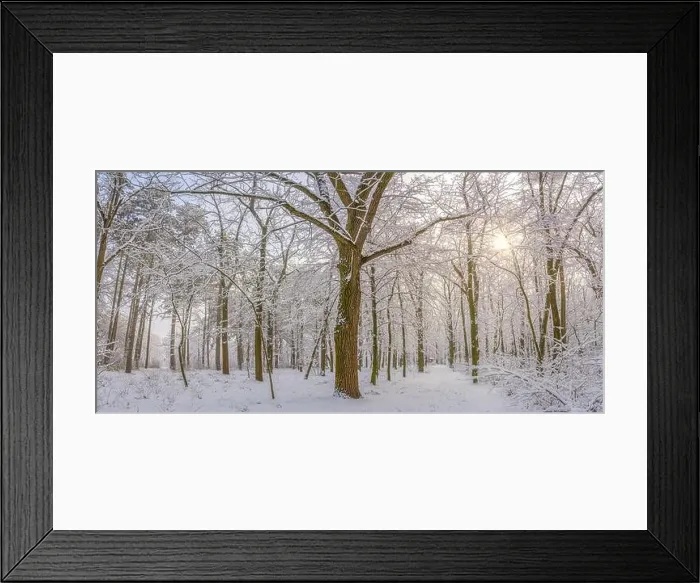 Framed Print : winter nature landscape at sunrise. Beautiful Christmas nature background, frozen snowy forest trail, amazing idyllic nature landscape. Tranquil path Framed Print : winter nature landscape at sunrise. Beautiful Christmas nature background, frozen snowy forest trail, amazing idyllic nature landscape. Tranquil path