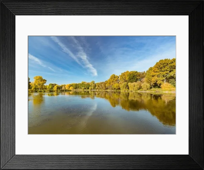 Framed Print : Colorful foliage tree reflections in calm pond water on a beautiful autumn day. Bright autumn trees with tranquil sky, autumn foliage over lake Framed Print : Colorful foliage tree reflections in calm pond water on a beautiful autumn day. Bright autumn trees with tranquil sky, autumn foliage over lake