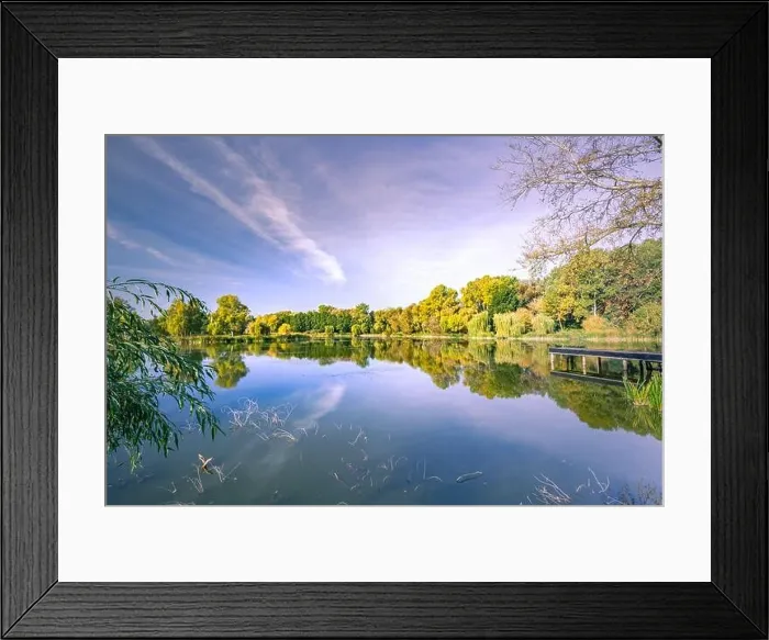 Framed Print : Colorful foliage tree reflections in calm pond water on a beautiful autumn day. Bright autumn trees with tranquil sky, autumn foliage over lake Framed Print : Colorful foliage tree reflections in calm pond water on a beautiful autumn day. Bright autumn trees with tranquil sky, autumn foliage over lake