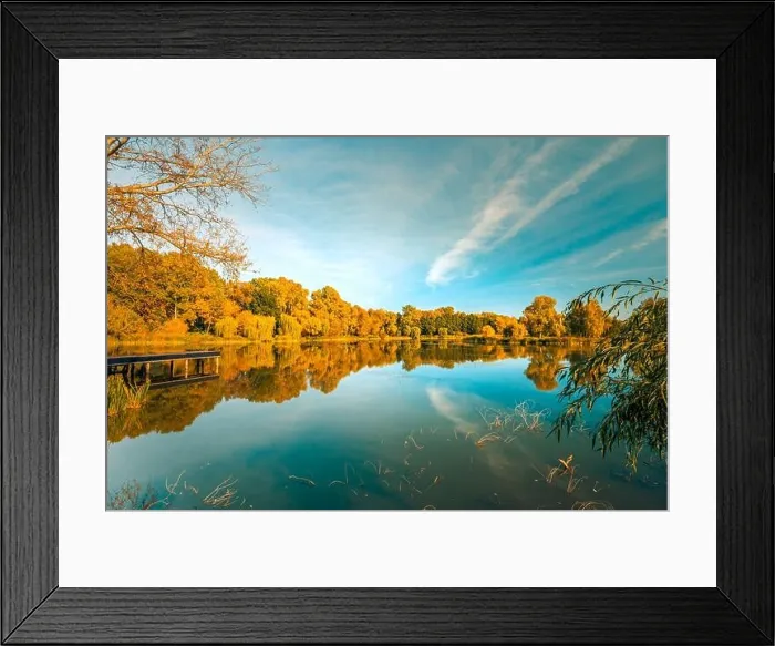 Framed Print : Colorful foliage tree reflections in calm pond water on a beautiful autumn day. Bright autumn trees with tranquil sky, autumn foliage over lake Framed Print : Colorful foliage tree reflections in calm pond water on a beautiful autumn day. Bright autumn trees with tranquil sky, autumn foliage over lake