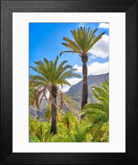 Framed Print : Canarian landscape with palm tree, Gran Canaria, Spain