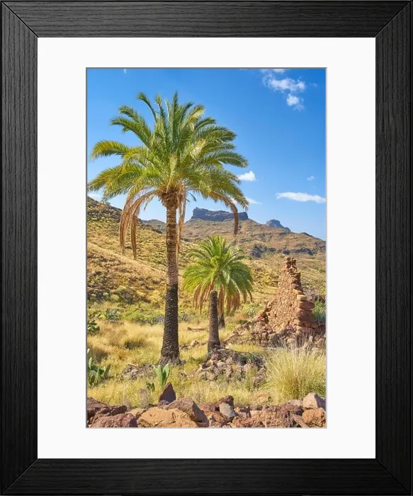 Framed Print : Canarian landscape with palm tree, Gran Canaria, Spain Framed Print : Canarian landscape with palm tree, Gran Canaria, Spain