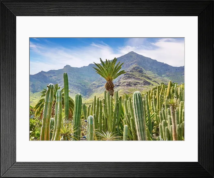 Framed Print : Cactus Garden landscape, Gran Canaria, Spain Framed Print : Cactus Garden landscape, Gran Canaria, Spain
