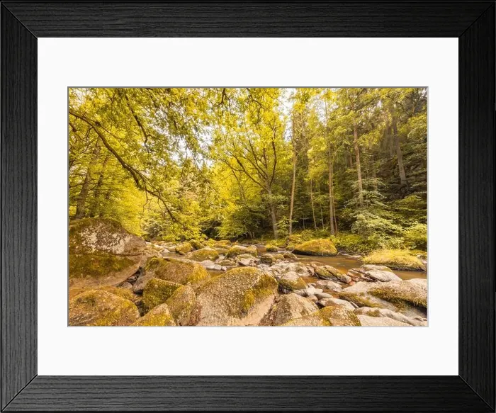 Framed Print : Autumnal forest, rocks covered with moss, fallen leaves. Mountain river with waterfalls at autumn times. Autumn colors, tranquil nature landscape Framed Print : Autumnal forest, rocks covered with moss, fallen leaves. Mountain river with waterfalls at autumn times. Autumn colors, tranquil nature landscape