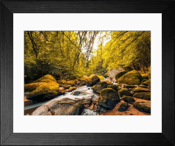 Framed Print : Autumnal forest, rocks covered with moss, fallen leaves. Mountain river with waterfalls at autumn times. Autumn colors, tranquil nature landscape Framed Print : Autumnal forest, rocks covered with moss, fallen leaves. Mountain river with waterfalls at autumn times. Autumn colors, tranquil nature landscape
