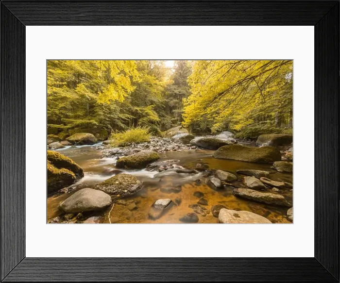 Framed Print : Autumnal forest, rocks covered with moss, fallen leaves. Mountain river with waterfalls at autumn times. Autumn colors, tranquil nature landscape Framed Print : Autumnal forest, rocks covered with moss, fallen leaves. Mountain river with waterfalls at autumn times. Autumn colors, tranquil nature landscape