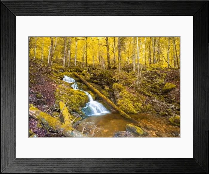 Framed Print : Autumnal forest, rocks covered with moss, fallen leaves. Mountain river with waterfalls at autumn times. Autumn colors, tranquil nature landscape Framed Print : Autumnal forest, rocks covered with moss, fallen leaves. Mountain river with waterfalls at autumn times. Autumn colors, tranquil nature landscape