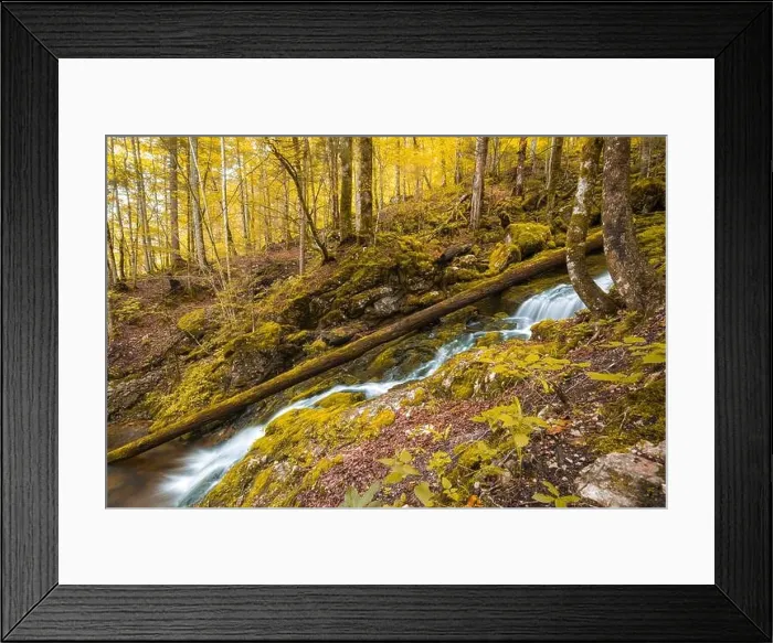 Framed Print : Autumnal forest, rocks covered with moss, fallen leaves. Mountain river with waterfalls at autumn times. Autumn colors, tranquil nature landscape Framed Print : Autumnal forest, rocks covered with moss, fallen leaves. Mountain river with waterfalls at autumn times. Autumn colors, tranquil nature landscape