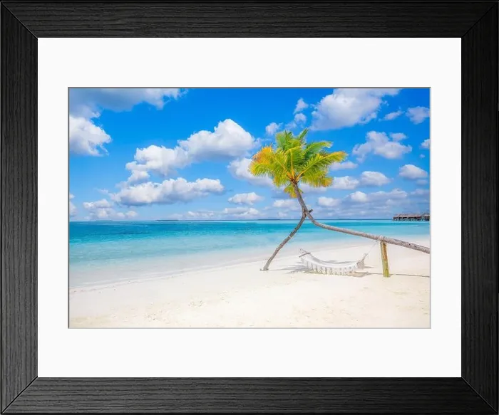 Framed Print : Scenic tropical beach as summer landscape with beach swing or hammock hanging on palm tree over white sand calm seaside view for beach banner Carefree Framed Print : Scenic tropical beach as summer landscape with beach swing or hammock hanging on palm tree over white sand calm seaside view for beach banner Carefree