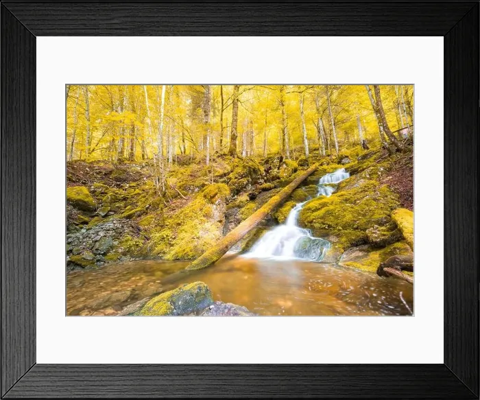 Framed Print : Autumnal forest, rocks covered with moss, fallen leaves. Mountain river with waterfalls at autumn times. Autumn colors, tranquil nature landscape Framed Print : Autumnal forest, rocks covered with moss, fallen leaves. Mountain river with waterfalls at autumn times. Autumn colors, tranquil nature landscape