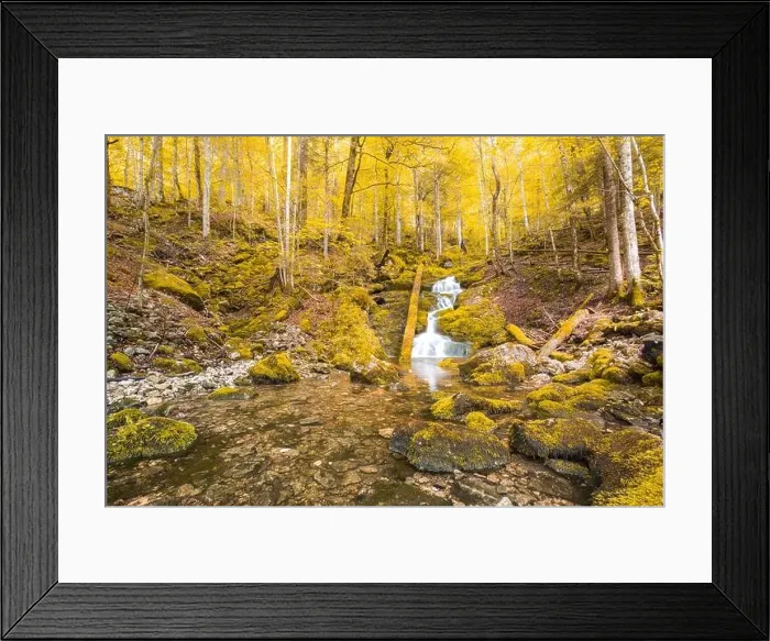 Framed Print : Autumnal forest, rocks covered with moss, fallen leaves. Mountain river with waterfalls at autumn times. Autumn colors, tranquil nature landscape Framed Print : Autumnal forest, rocks covered with moss, fallen leaves. Mountain river with waterfalls at autumn times. Autumn colors, tranquil nature landscape
