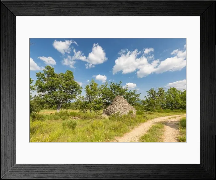 Framed Print : Old olive grove in Autumn in Puglia (Apulia) Italy Framed Print : Old olive grove in Autumn in Puglia (Apulia) Italy