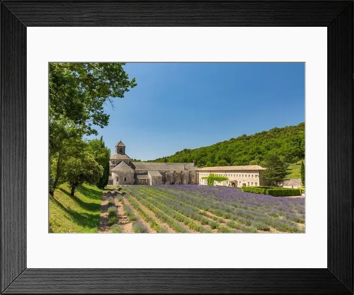 Framed Print : Abbey of Senanque blooming lavender flowers. Gordes, Luberon, Pr. Summer travel destination, landmark, historic architecture Framed Print : Abbey of Senanque blooming lavender flowers. Gordes, Luberon, Pr. Summer travel destination, landmark, historic architecture