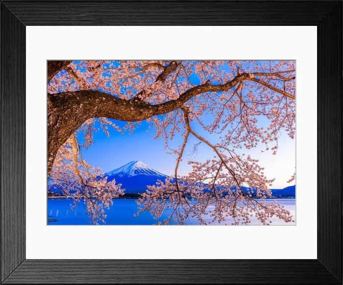 Framed Print : Kawaguchi Lake, Japan at Mt. Fuji in the evening during the spring Framed Print : Kawaguchi Lake, Japan at Mt. Fuji in the evening during the spring