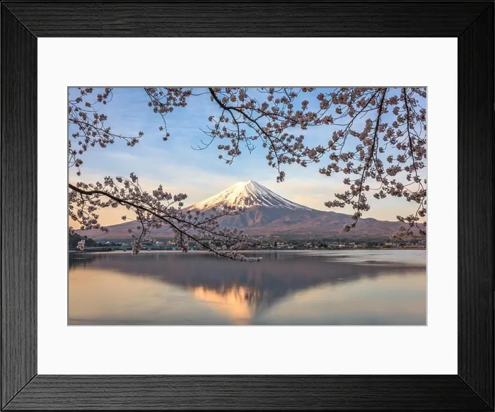 Framed Print : Kawaguchi Lake, Japan at Mt. Fuji in the morning during the spring Framed Print : Kawaguchi Lake, Japan at Mt. Fuji in the morning during the spring