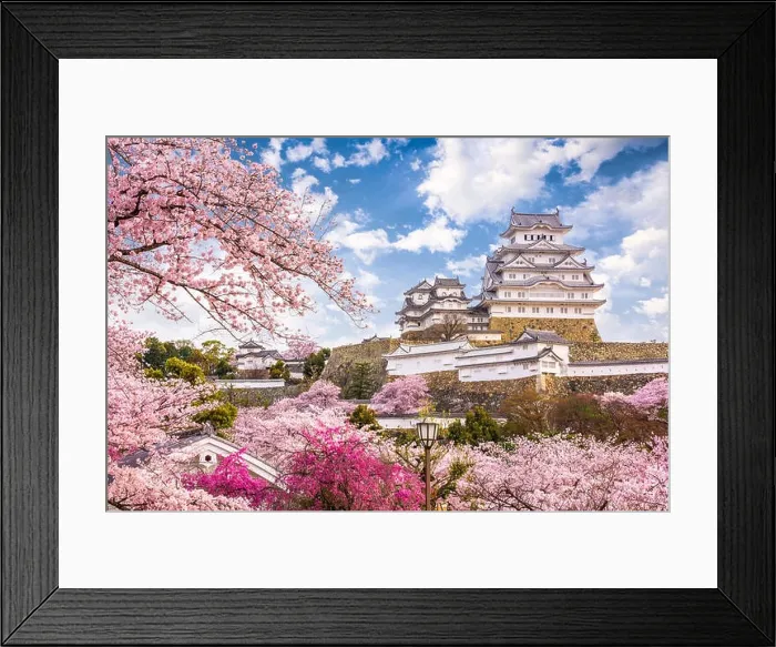 Framed Print : Himeji, Japan at Himeji Castle in spring season Framed Print : Himeji, Japan at Himeji Castle in spring season