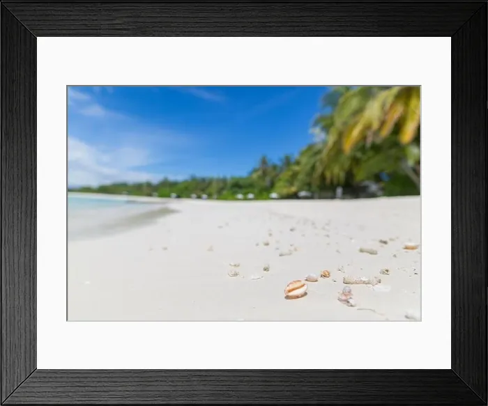Framed Print : Beach landscape closeup with shells and coral in the sand. Tranquil beach seashell on the summer beach in sea water. Summer vacation holiday view Framed Print : Beach landscape closeup with shells and coral in the sand. Tranquil beach seashell on the summer beach in sea water. Summer vacation holiday view