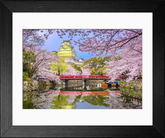 Framed Print : Himeji, Japan at Himeji Castle during spring cherry blossom season Framed Print : Himeji, Japan at Himeji Castle during spring cherry blossom season