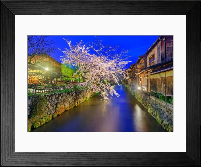 Framed Print : Gion Shirakawa, Kyoto, Japan in spring Framed Print : Gion Shirakawa, Kyoto, Japan in spring