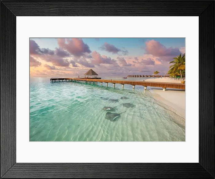 Framed Print : Fantastic sunset beach shore, shallows with sting rays and sharks in Maldives islands. Luxury resort hotel, wooden jetty, over water villa, bungalow Framed Print : Fantastic sunset beach shore, shallows with sting rays and sharks in Maldives islands. Luxury resort hotel, wooden jetty, over water villa, bungalow