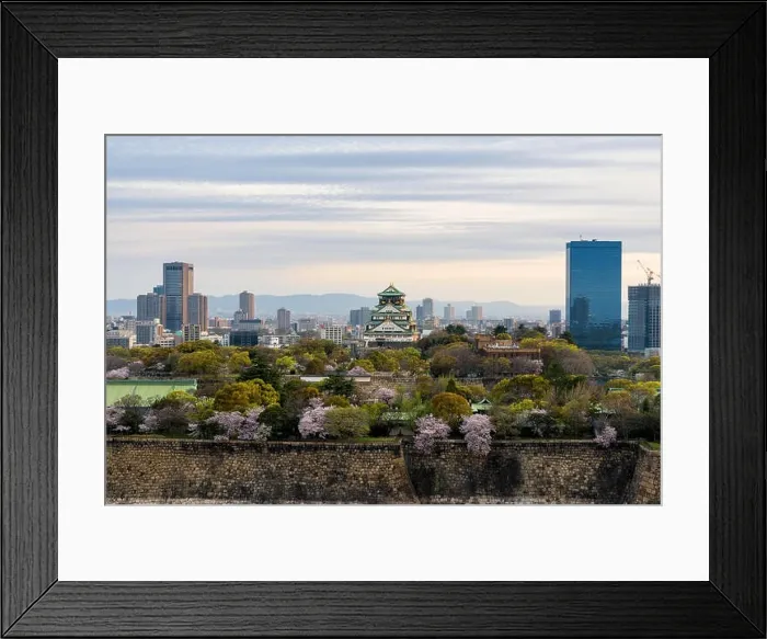 Framed Print : Osaka castle with cherry blossom and Osaka center business dictrick in background atOsaka, Japan. Japan spring beautiful scene Framed Print : Osaka castle with cherry blossom and Osaka center business dictrick in background atOsaka, Japan. Japan spring beautiful scene