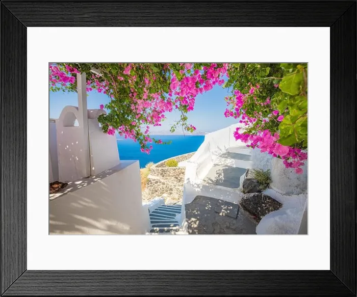 Framed Print : Summer vacation panorama, luxury famous Europe destination. White architecture in Santorini, Greece. Perfect travel scenery with pink flowers Framed Print : Summer vacation panorama, luxury famous Europe destination. White architecture in Santorini, Greece. Perfect travel scenery with pink flowers