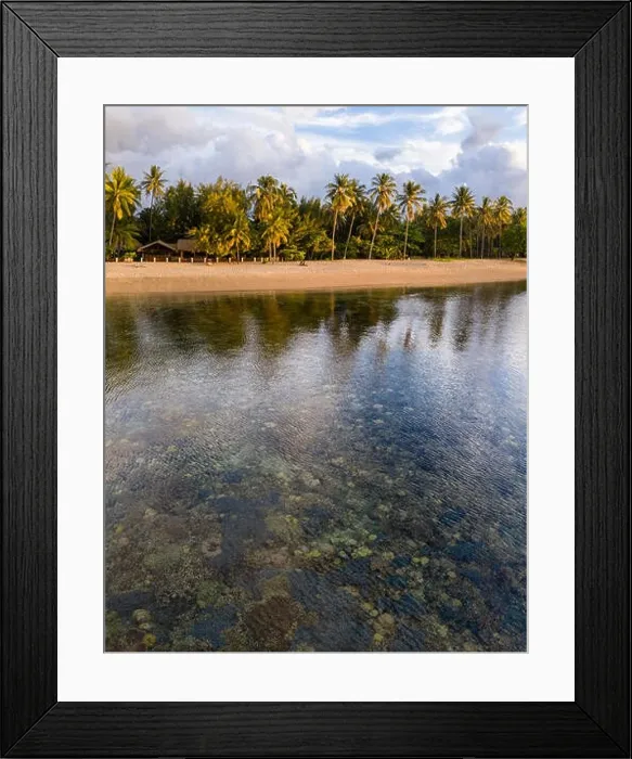Framed Print : Seen from a bird's eye view, a shallow coral reef grows on the edge of the island of Flores, Indonesia. This area is known for its high biodiversity Framed Print : Seen from a bird's eye view, a shallow coral reef grows on the edge of the island of Flores, Indonesia. This area is known for its high biodiversity