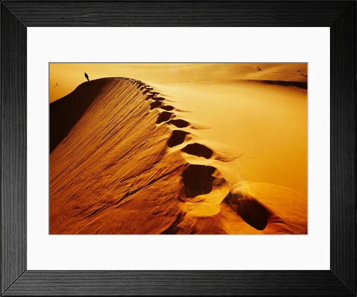 Framed Print : Sand dune climbing, sunrise, Sahara Desert, Algeria Framed Print : Sand dune climbing, sunrise, Sahara Desert, Algeria