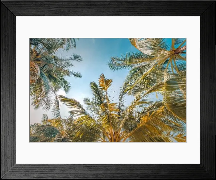 Framed Print : Coconut palm tree with blue sky, beautiful tropical background. Exotic nature pattern, green palm leaves against blue sky. Tropical beach amazing view Framed Print : Coconut palm tree with blue sky, beautiful tropical background. Exotic nature pattern, green palm leaves against blue sky. Tropical beach amazing view