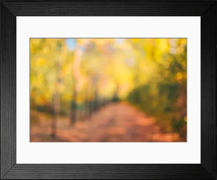 Framed Print : Autumn background blurred orange. Bokeh autumn park background, dream peaceful bokeh autumn colors Framed Print : Autumn background blurred orange. Bokeh autumn park background, dream peaceful bokeh autumn colors