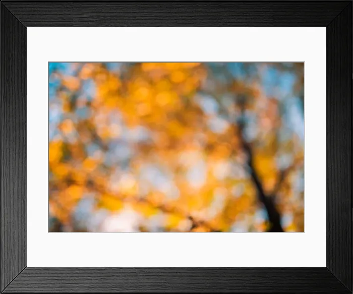 Framed Print : Autumn background blurred orange. Bokeh autumn park background, dream peaceful bokeh autumn colors Framed Print : Autumn background blurred orange. Bokeh autumn park background, dream peaceful bokeh autumn colors