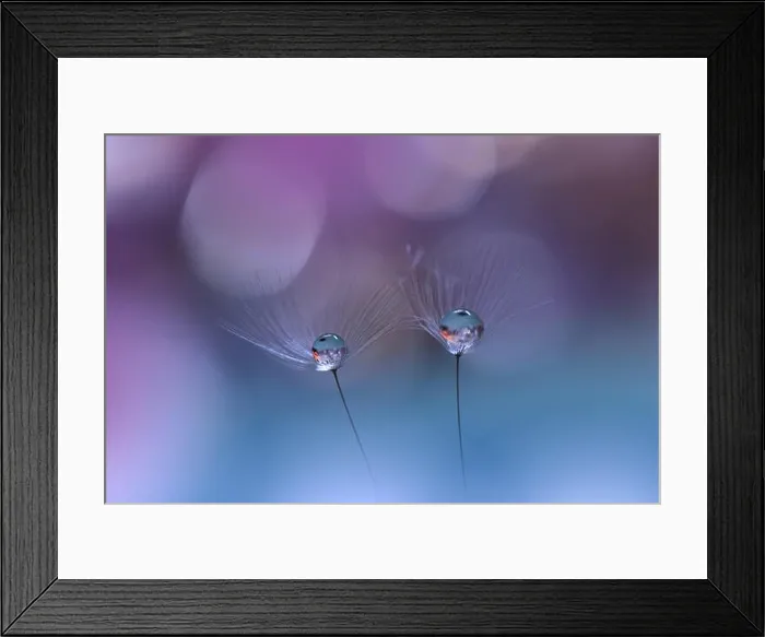 Framed Print : Beautiful Blue Nature Background.Colorful Artistic Wallpaper.Macro Photography.Beauty in Nature.Creative Floral Art Design.Blurred space for text Framed Print : Beautiful Blue Nature Background.Colorful Artistic Wallpaper.Macro Photography.Beauty in Nature.Creative Floral Art Design.Blurred space for text