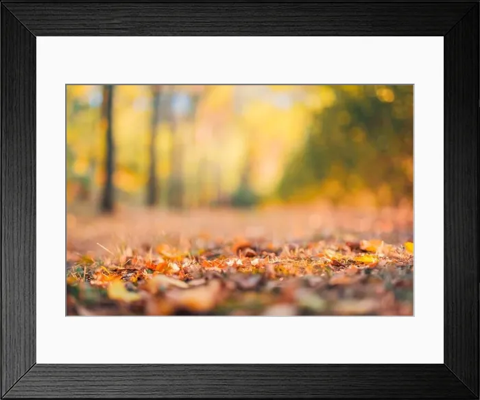 Framed Print : Autumn background blurred orange. Bokeh autumn park background, dream peaceful bokeh autumn colors