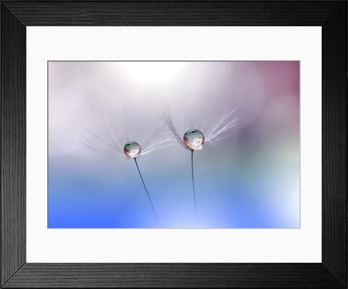 Framed Print : Beautiful Blue Nature Background.Colorful Artistic Wallpaper.Macro Photography.Beauty in Nature.Creative Floral Art Design.Blurred space for text Framed Print : Beautiful Blue Nature Background.Colorful Artistic Wallpaper.Macro Photography.Beauty in Nature.Creative Floral Art Design.Blurred space for text