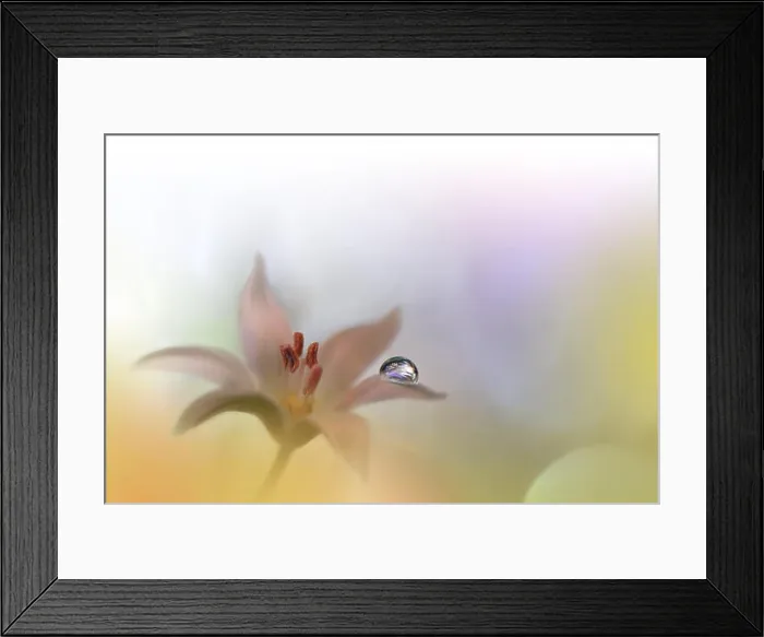 Framed Print : Beautiful Golden Nature Background.Colorful Artistic Wallpaper.Macro Photography.Beauty in Nature.Creative Floral Art Design.Yellow Color.Pure, water Framed Print : Beautiful Golden Nature Background.Colorful Artistic Wallpaper.Macro Photography.Beauty in Nature.Creative Floral Art Design.Yellow Color.Pure, water