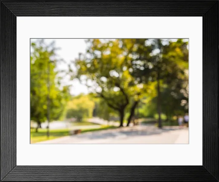 Framed Print : Blur nature green park with sun light abstract background Framed Print : Blur nature green park with sun light abstract background