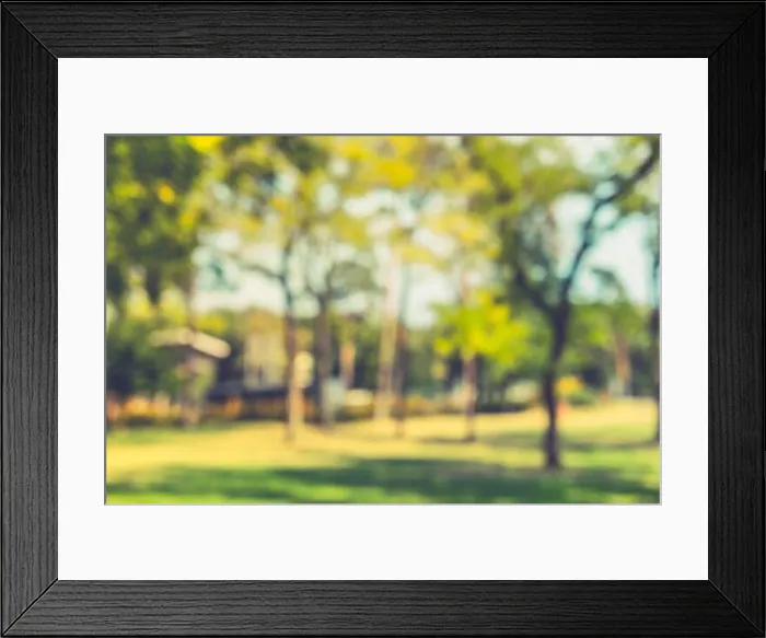 Framed Print : Blur nature green park with sun light abstract background Framed Print : Blur nature green park with sun light abstract background