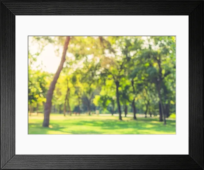 Framed Print : Blur nature green park with sun light abstract background