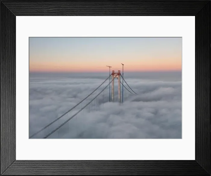 Framed Print : Panoramic aerial drone view from above of the suspended bridge over danube river, under construction, between Braila and Tulcea cities in Romania Framed Print : Panoramic aerial drone view from above of the suspended bridge over danube river, under construction, between Braila and Tulcea cities in Romania