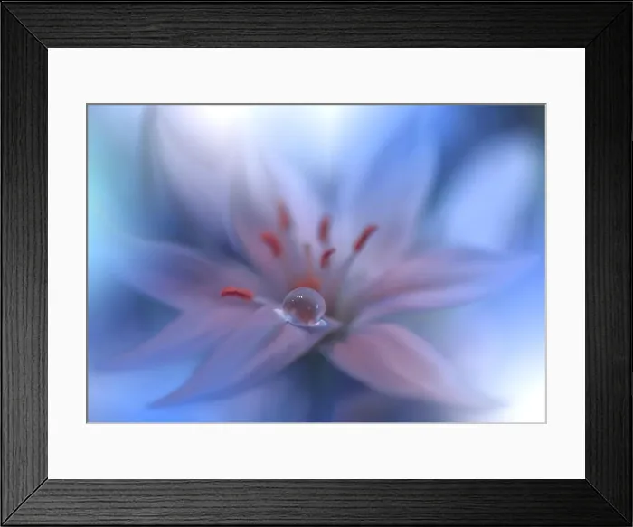 Framed Print : Beautiful Blue Nature Background.Colorful Artistic Wallpaper.Natural Abstract Macro Photography.Creative Floral Art Design.Love, romance, romantic.Pure Framed Print : Beautiful Blue Nature Background.Colorful Artistic Wallpaper.Natural Abstract Macro Photography.Creative Floral Art Design.Love, romance, romantic.Pure