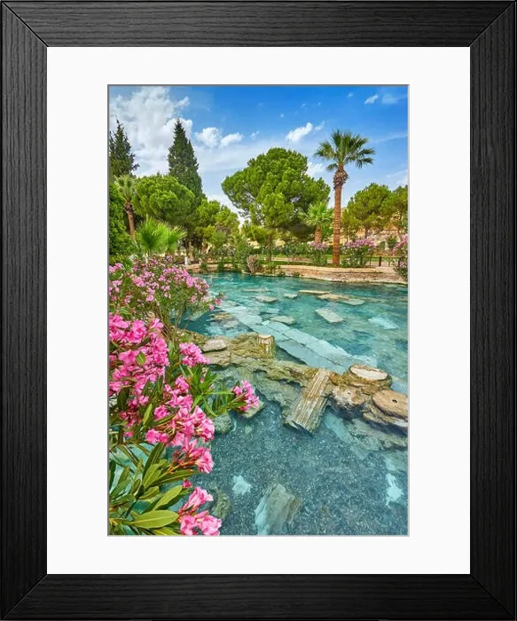 Framed Print : Cleopatra pool with blooming flowers, Pamukkale, Turkey