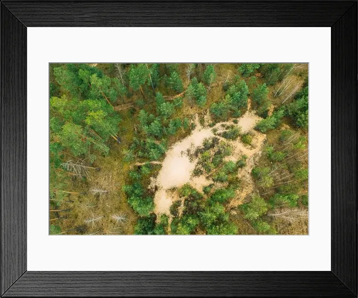 Framed Print : Belarus. Aerial View Of Mixed Forest. Afforestation. Entry Of Sandy Soil In Forest. Drone View Of European Woods At Springtime. Forest Landscape. Sand Framed Print : Belarus. Aerial View Of Mixed Forest. Afforestation. Entry Of Sandy Soil In Forest. Drone View Of European Woods At Springtime. Forest Landscape. Sand